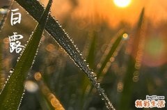白露节气天气变化
