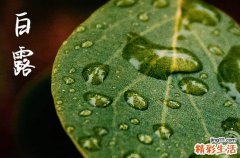 白露节气有什么说法吗