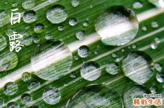 白露节气天气特点