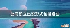 公司设立出资形式包括哪些