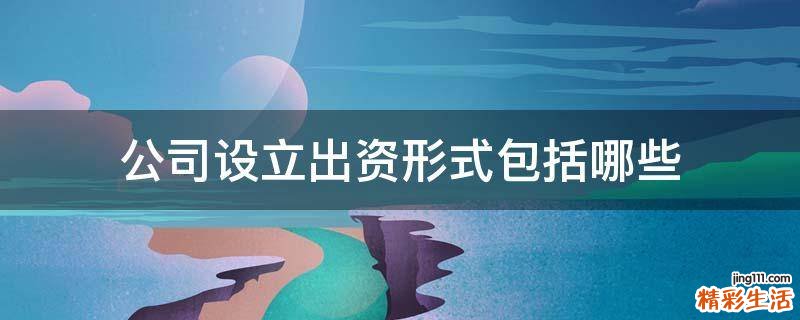 公司设立出资形式包括哪些