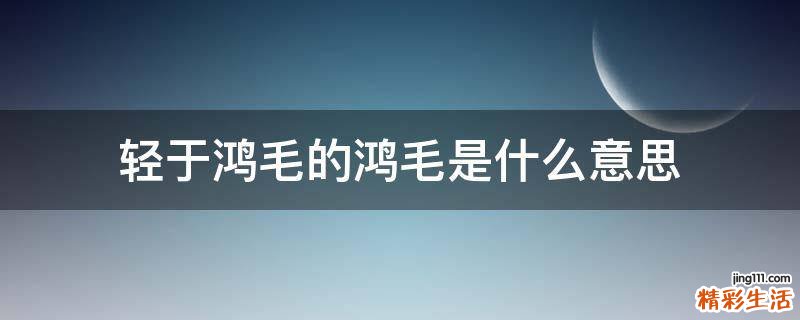 轻于鸿毛的鸿毛是什么意思