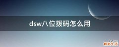 dsw八位拨码怎么用