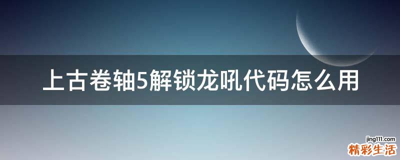 上古卷轴5解锁龙吼代码怎么用