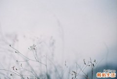 4 辨证调治，肠道畅通