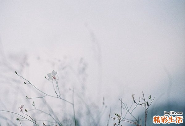 4 辨证调治，肠道畅通