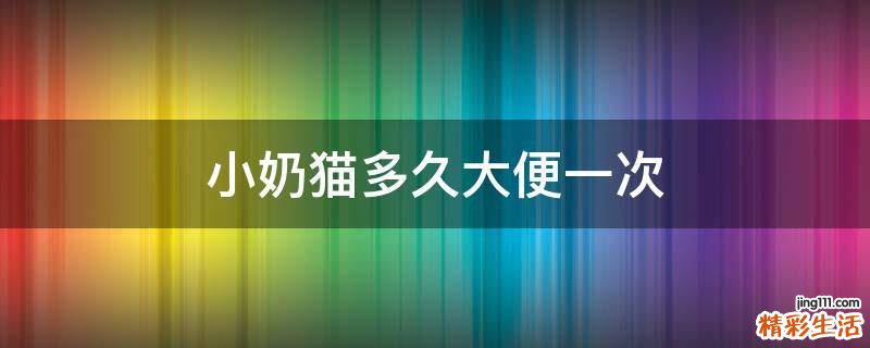 小奶猫多久大便一次