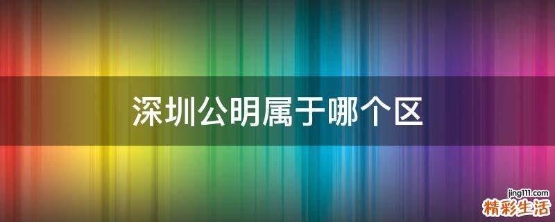 深圳公明属于哪个区