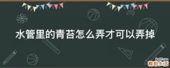 水管里的青苔怎么弄才可以弄掉