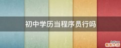 初中学历当程序员行吗