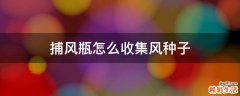 捕风瓶怎么收集风种子
