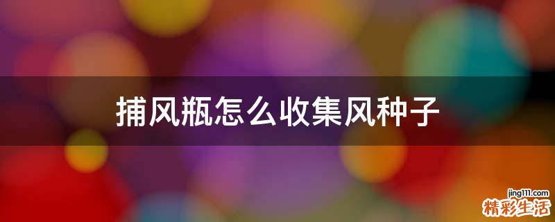 捕风瓶怎么收集风种子