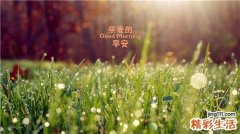怎样预防毒蕈中毒，毒蕈中毒的护理
