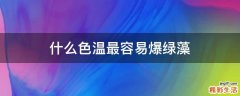 什么色温最容易爆绿藻