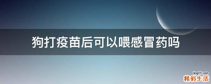 狗打疫苗后可以喂感冒药吗