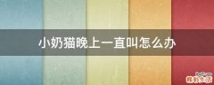 小奶猫晚上一直叫怎么办