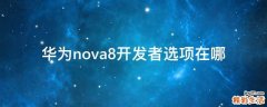 华为nova8开发者选项在哪