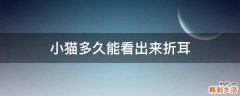 小猫多久能看出来折耳