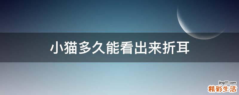 小猫多久能看出来折耳