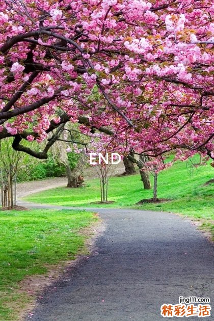 2 耳鸣辨证施膳