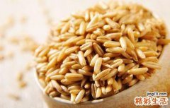 什么食物能排毒排湿气