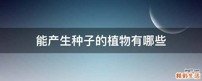 能产生种子的植物有哪些
