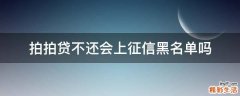 拍拍贷不还会上征信黑名单吗