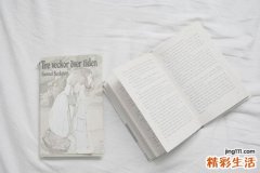 中医诊疗水平判断