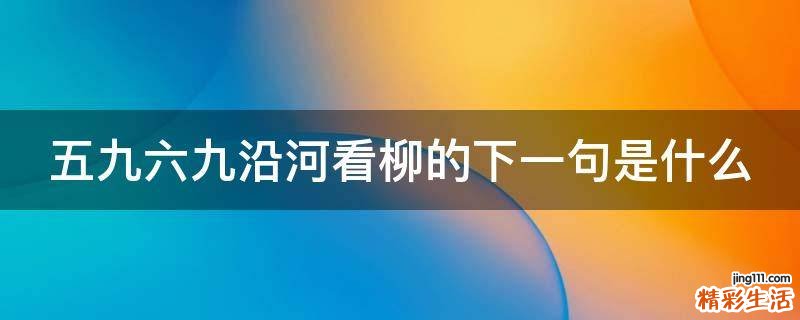 五九六九沿河看柳的下一句是什么