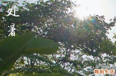 8月23日处暑,处暑是“出暑”的意思?送您5句处暑谚语