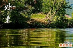 处暑吃鸭有啥好处