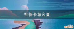 社保卡怎么查