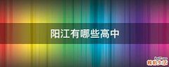 阳江有哪些高中