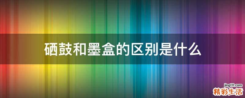 硒鼓和墨盒的区别是什么