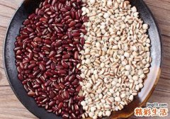 红豆薏米粥的红豆是哪种豆 红豆薏米粥是用红豆还是赤小豆