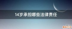 14岁承担哪些法律责任