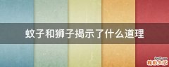 蚊子和狮子揭示了什么道理