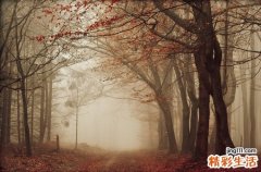 面部出油用什么洗面奶_面部出油怎么办