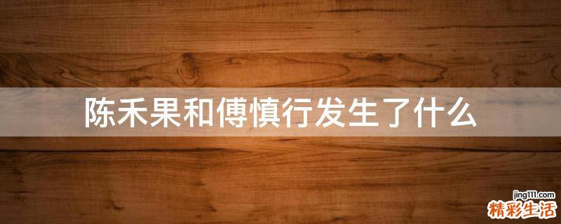 陈禾果和傅慎行发生了什么