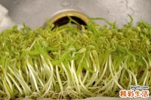 吃什么食物去湿气