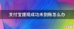 支付宝提现成功未到账怎么办