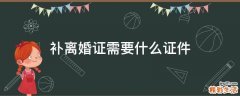 补离婚证需要什么证件