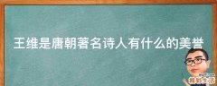 王维是唐朝著名诗人有什么的美誉
