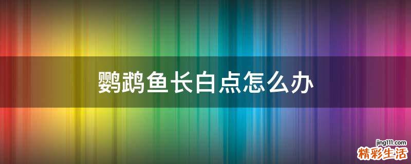 鹦鹉鱼长白点怎么办
