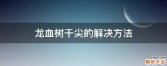 龙血树干尖的解决方法
