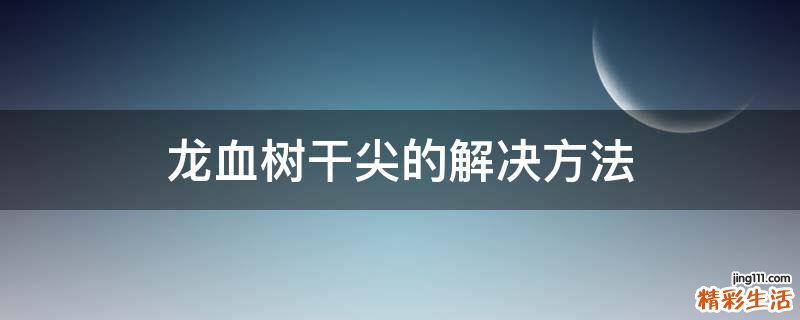 龙血树干尖的解决方法