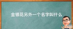 金银花另外一个名字叫什么