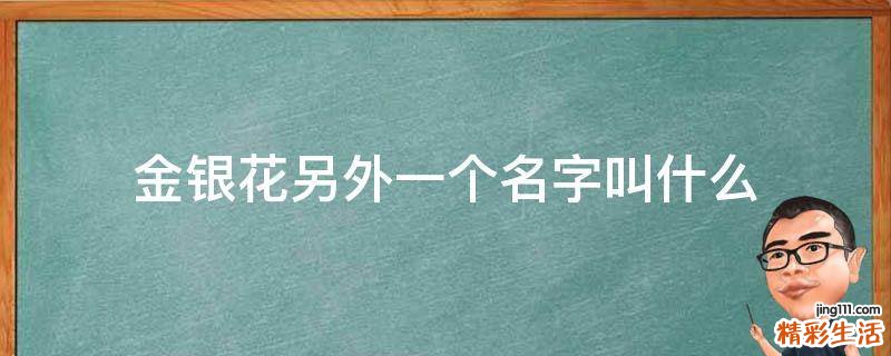 金银花另外一个名字叫什么