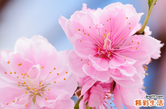 七夕祝福文案暖心的话