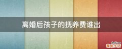 离婚后孩子的抚养费谁出